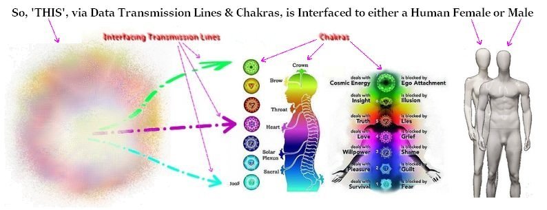 Interfacing and Chakras of the Subtle Body, Spirit Form to Human Body/Avatar form