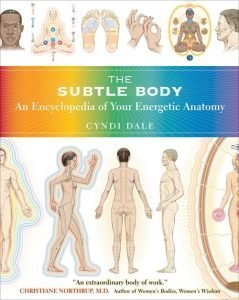 Image of the Encyclopedia of Your Subtle Bodies Energetic Anatomy